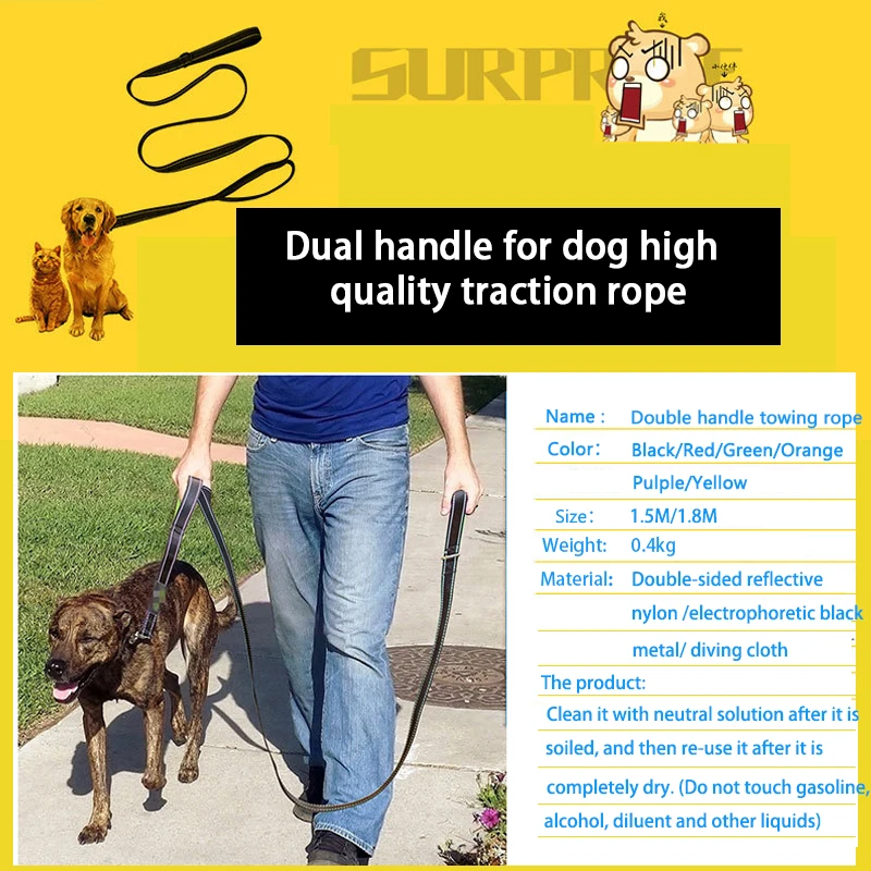 What Does An Orange Dog Collar Mean