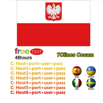 

Special for Poland Europe 7 lines HD AV Cable for Satellite Receiver Cccam lines of 2 year DVB-S2 Europe clines for Free Sat V