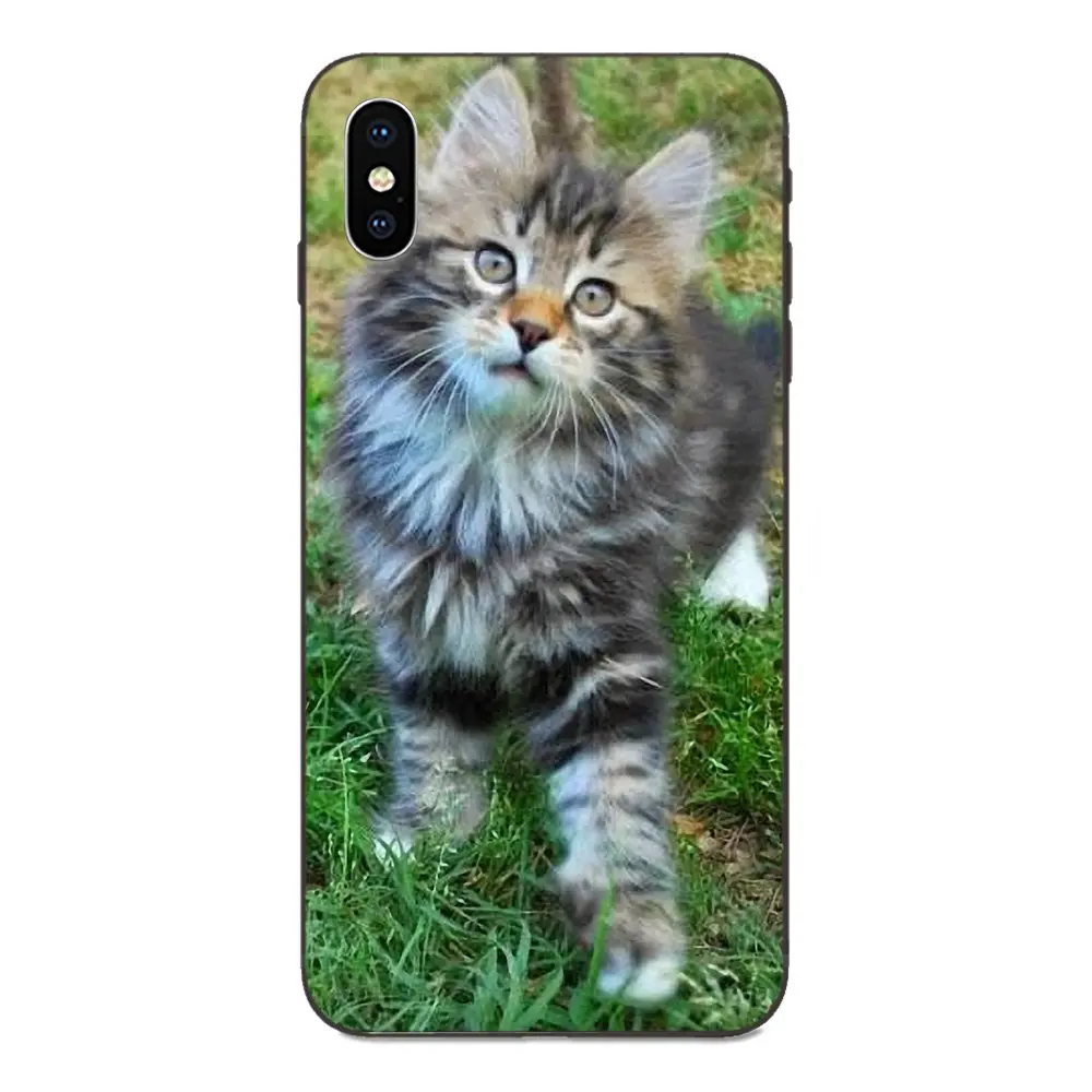 TPU мобильного телефона для Xiaomi Redmi Note 3 3S 4 4A 4X5 5A 6 6A 7 7A K20 Plus Pro S2 Y2 Y3 довольно различных кошка - Цвет: as picture