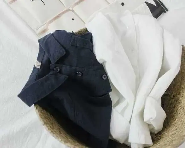 Белая рубашка для мальчиков, детская одежда г., новая осенняя рубашка с лацканами для маленьких мальчиков 2, 3, 4, 5, 6, 7 лет однотонная блузка для малышей