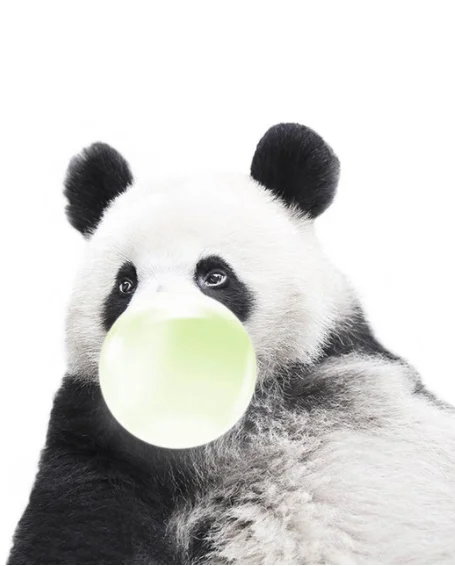 QQ图片20191224100724