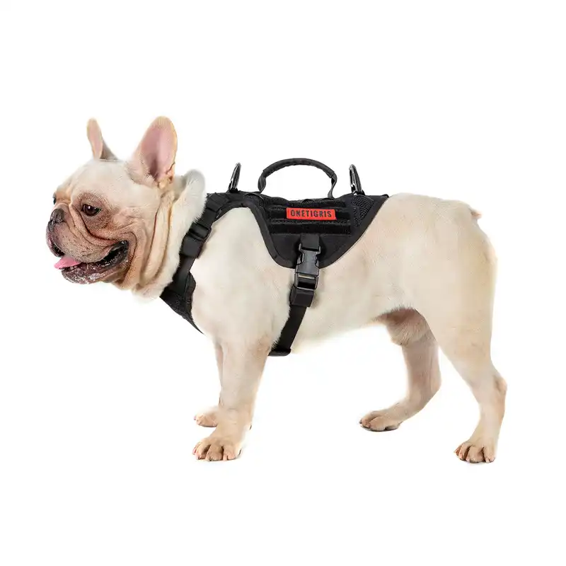 small dog harness with carry handle