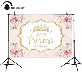 

Allenjoy Crown Photocall Pink Flowers A Little Princess is On the Way Plaid Background Cloth Baby Shower Newborn Party Decor