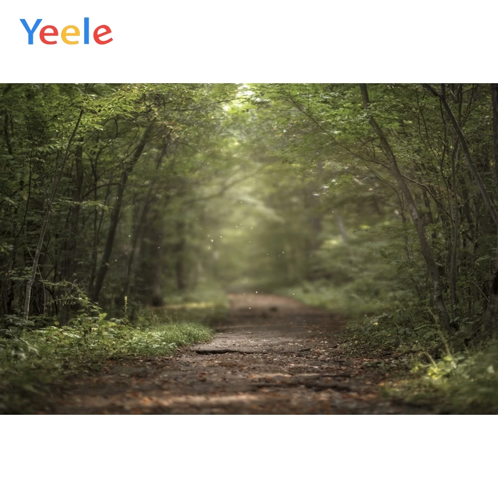 

Yeele Photozone Green Summer Forest Tree Leaves Park Way Natural Scenic Photo Background Photography Backdrop For Photo Studio