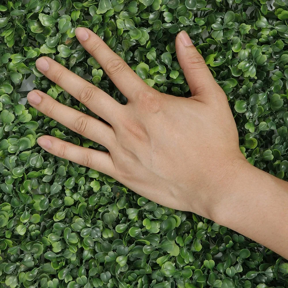 91Fwbfe5dkL._AC_SL1500_