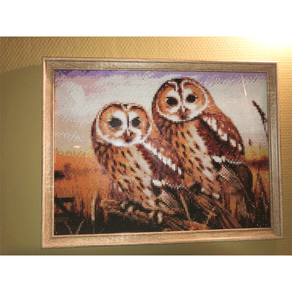 EverShine 5D Diamond Painting Owl s Full Square Cross Stitch Diamond Embroidery Animal Rhinestones Picture Home Decor