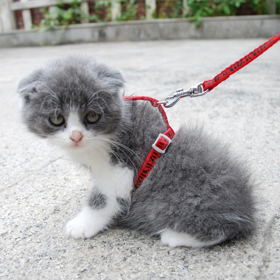 Arnés ajustable para gato de nailon duradero correa de paseo para animales pequeños 