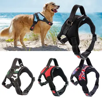 

Leash Rope Pet Dog Walking Training Lead Collar Harness Chest Strap Home