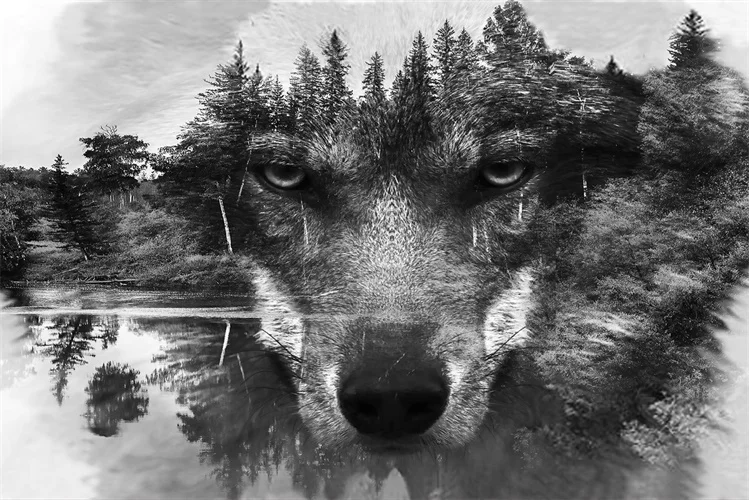 Картина на холсте, животные, настенные художественные волки, плакаты и принты, настенные картины для гостиной, современное Скандинавское украшение для дома, Настенный декор