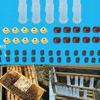 

Beekeeping Tools Equipment Set Queen Rearing System Cultivating Box 110pcs Plastic Bee Cell Cups Cup Kit Queen Cage