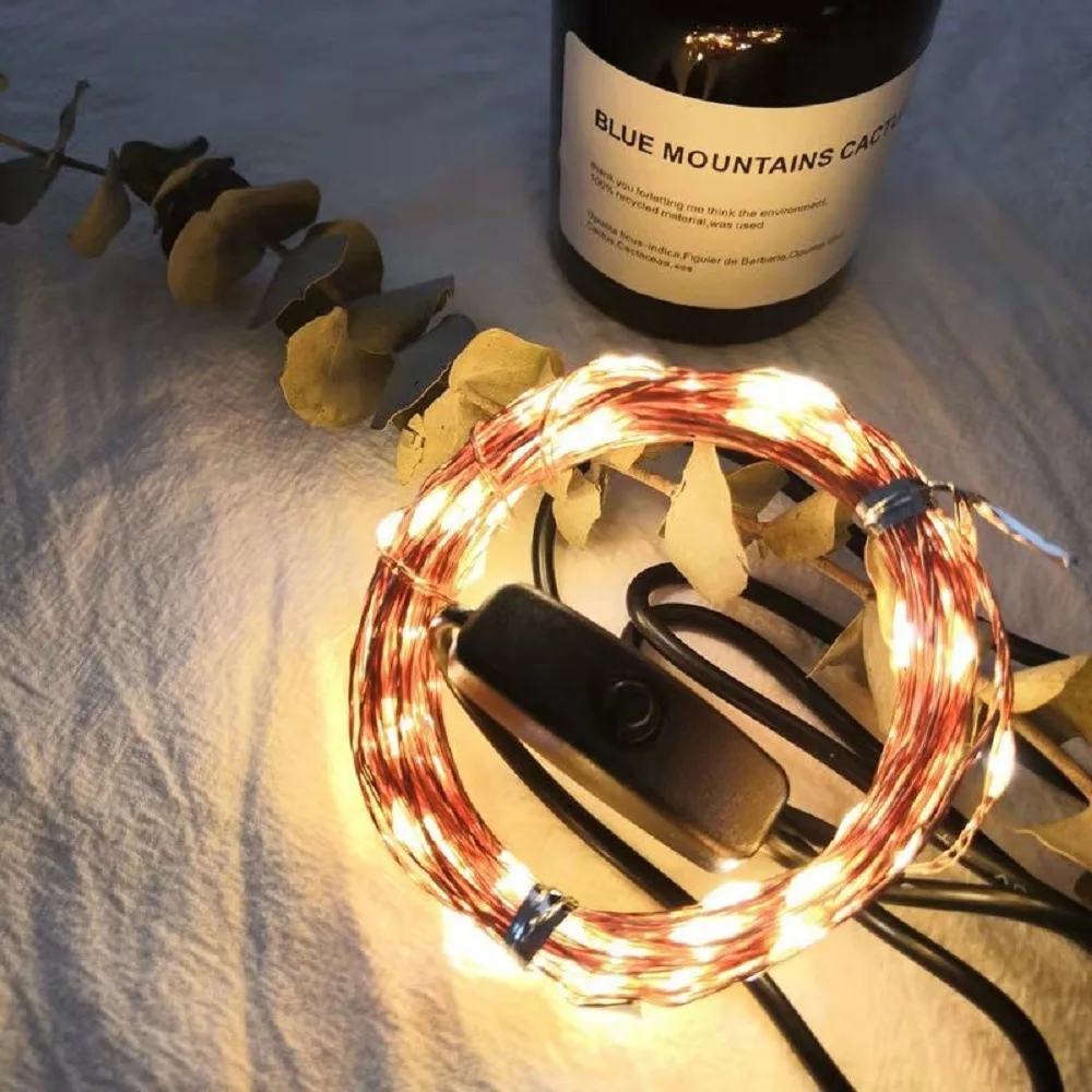 

10 M 100 Lamp LED Twinkle Light Organized by Copper Wire USB Interface with Switch Waterproof String Lights Christmas Colorful L