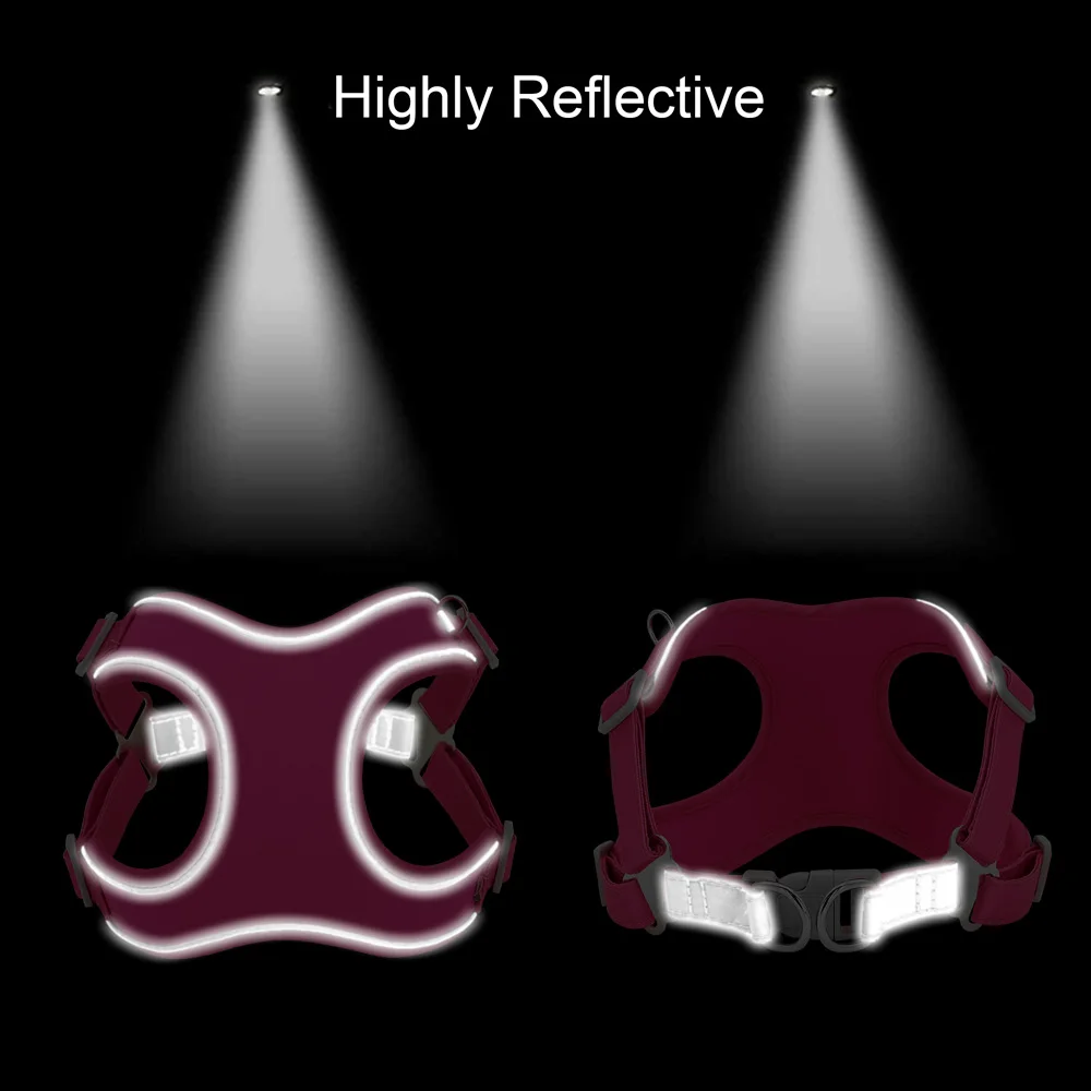   ϳ׽   Ʈ, ݻ  , ֿ  å  ,  μ ֿ  ̸   , 2XS-L