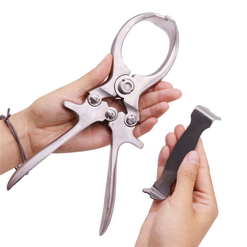 2 предмета инструмент для животноводства Нержавеющая сталь без крови свинья