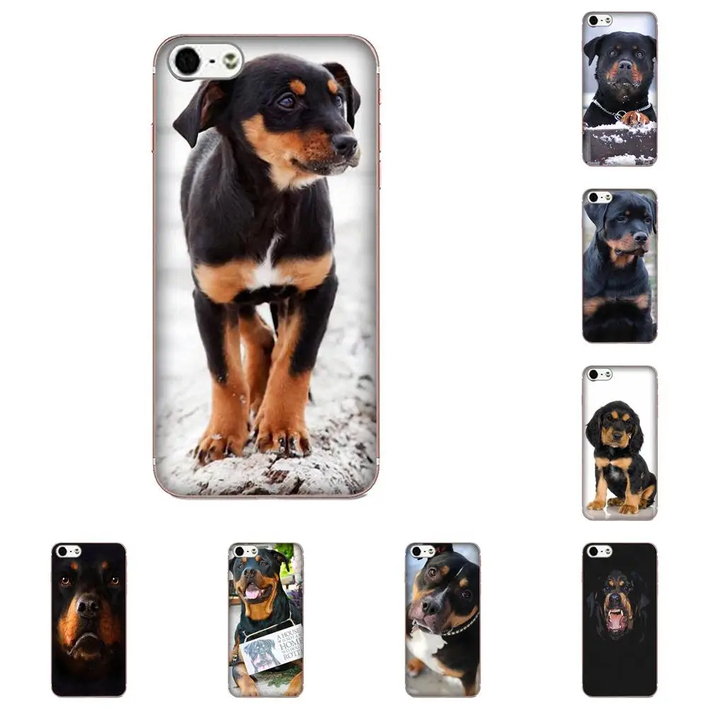 Rottweiler Dog Puppies Soft TPU Cases Cover For Samsung Galaxy J1 J3 J4 J5 J6 J7 A10 A20 A20E A3 A40 A5 A50 A7 2016 2017 2018 | Мобильные
