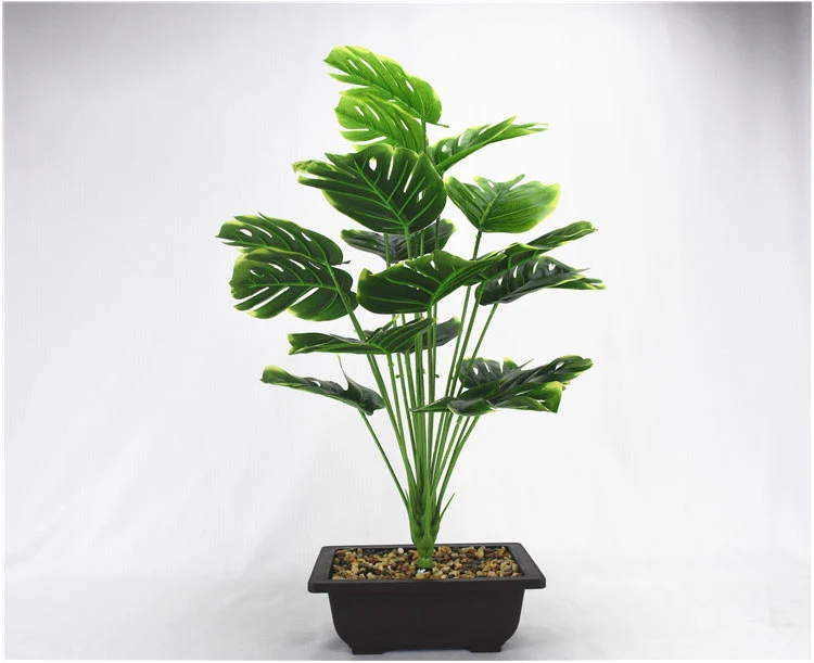 11825923475_1855610624_04