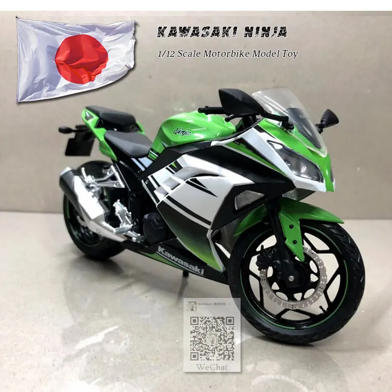 KAWASAKI NINJA (11)