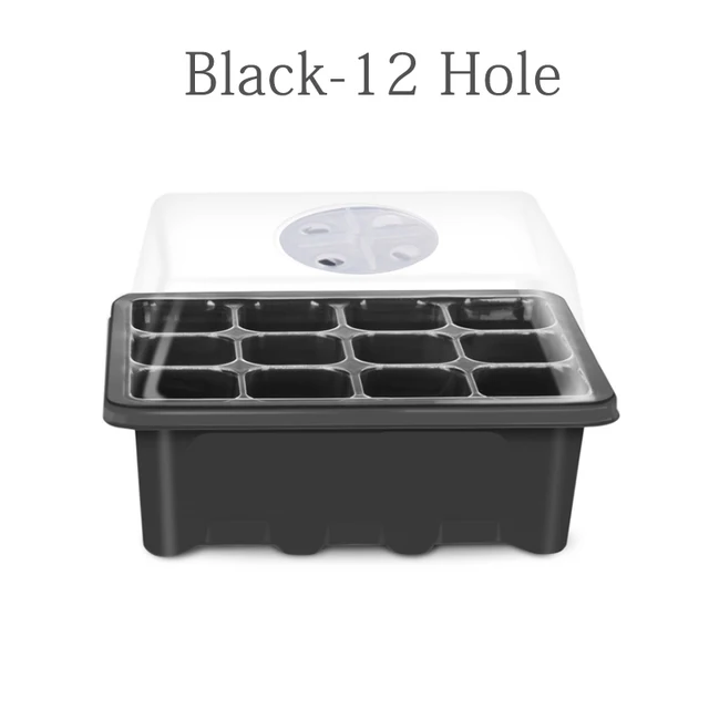 Black-12 holes