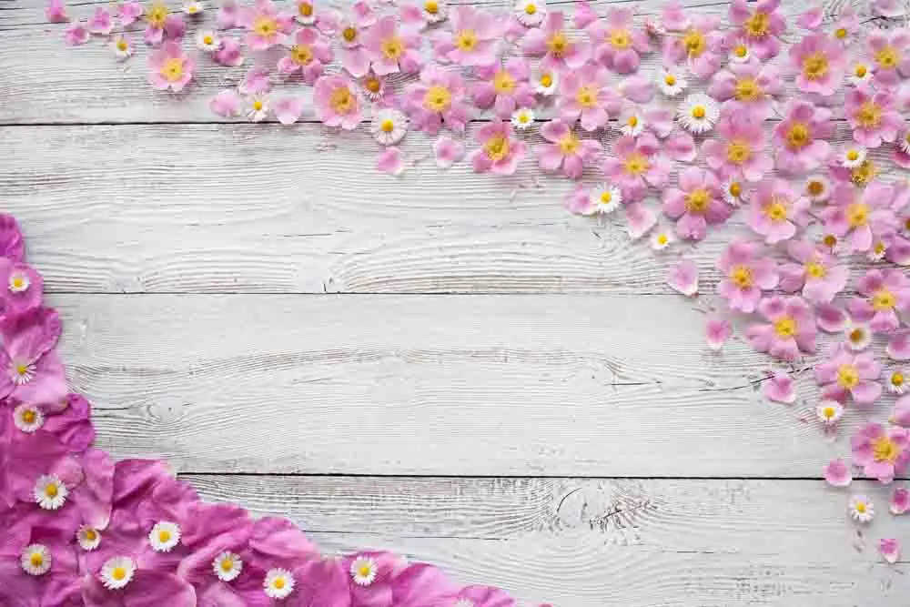 

SHUOZHIKE Vinyl Custom Photography Prop Daisy flower theme Photo Studio Background 19912-05