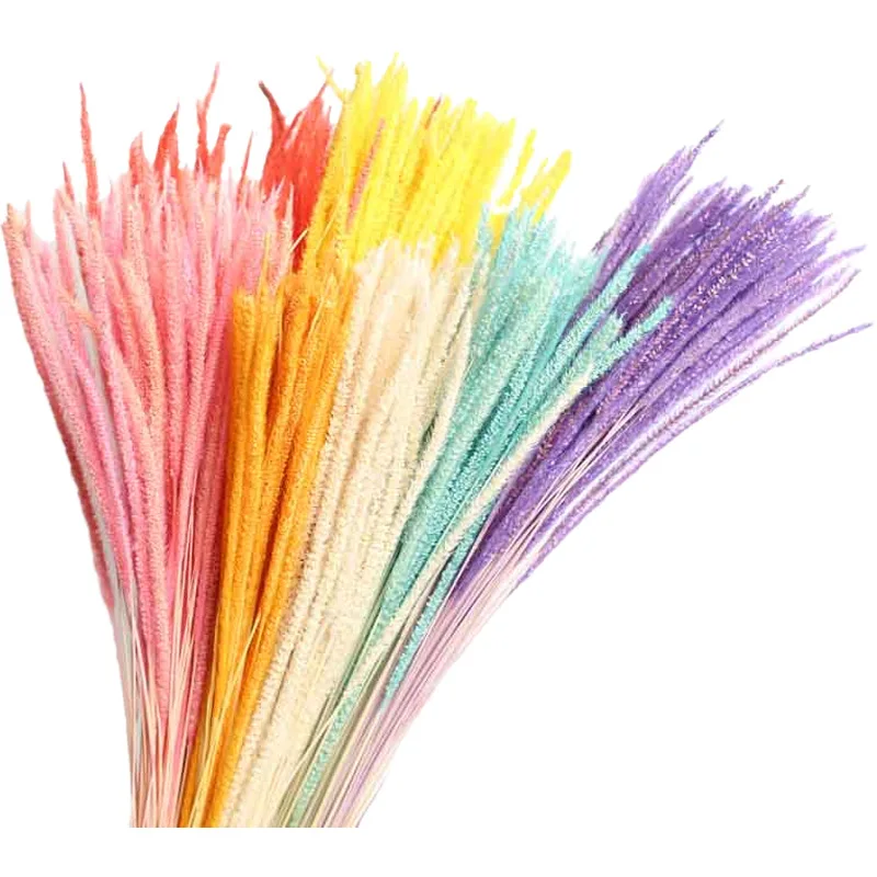 14675899032_1195275136