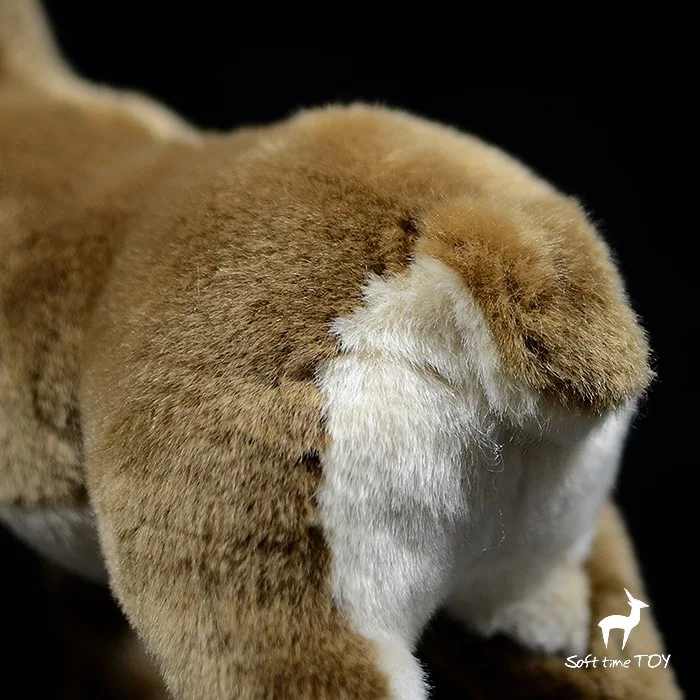 O1CN01zQKPaK1DnZyVVry6w_!!22080261