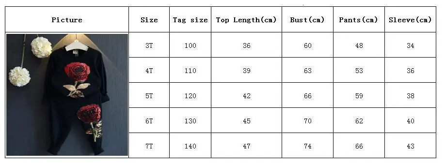 Костюм для девочек; коллекция года; Лидер продаж; детский Весенний Повседневный Спортивный костюм с вышивкой и блестками для мальчиков и девочек; костюм с розами
