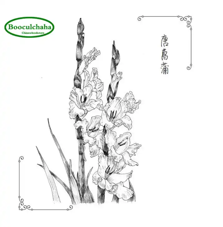 Sketsa Bunga Klasik Buku Tutorial Dengan 88 Jenis Bunga Hitam Dan Putih Lukisan Aliexpress