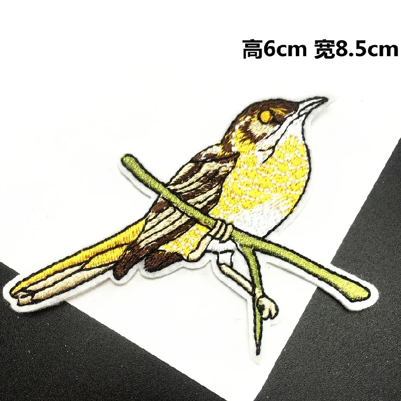 8501319691_972276358 (1)