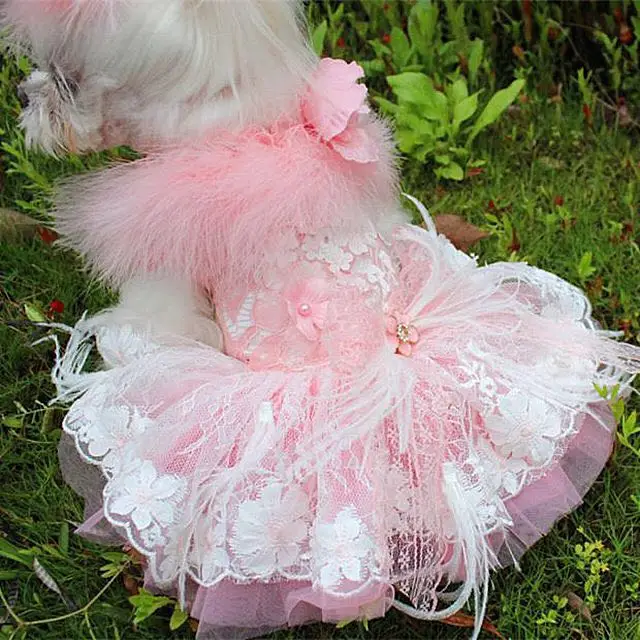 Одежда для собак, розовое платье принцессы с лебедем, роскошное кружевное платье с перьями, Великолепное платье-пачка для собак, ropa perro mascotas roupa cachorro
