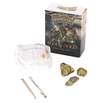 

Rowsfire Medium Box-packed Fossil Excavation Box Dig-out Discover Educational Toys Learning & Education History