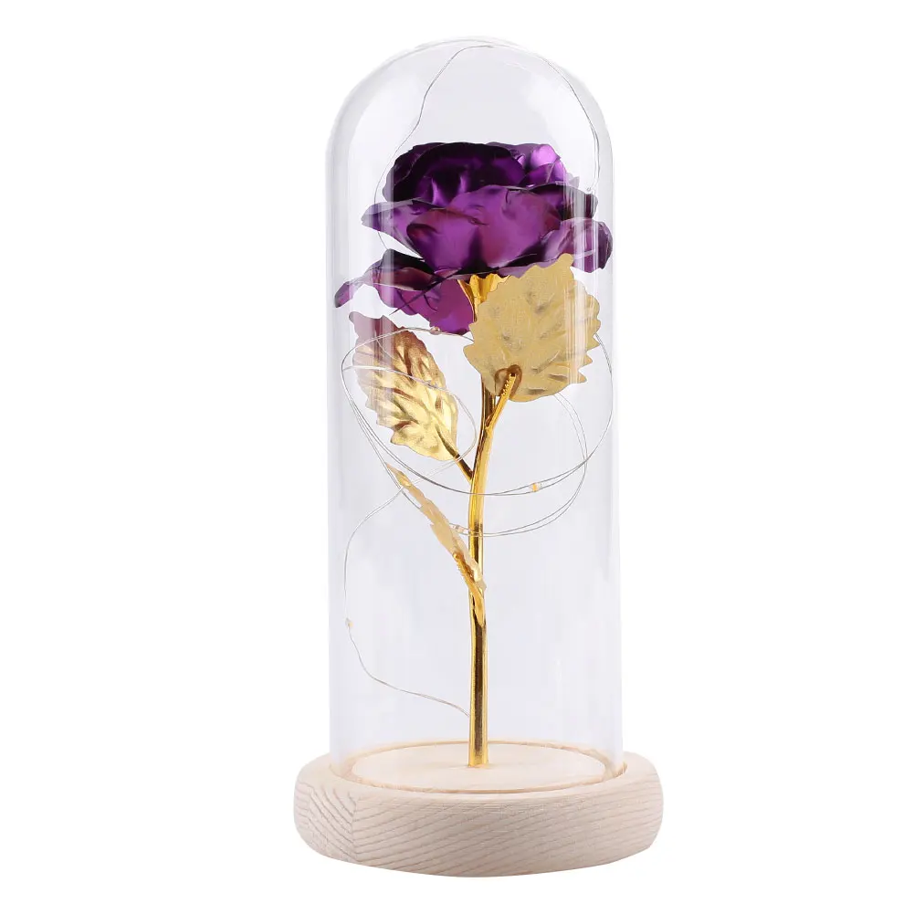 SOLEDI LED Immortality Gold Foil Rose Glass Cover Preserved Flower Flowers Romantic Eternal Flower Gift Party Luminous