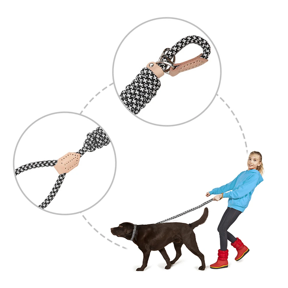 

P Chain Dog Leash Slip Collar Pet Walking Leads Nylon Dog Mountain Climbing Rope Traction For Dogs Supplies