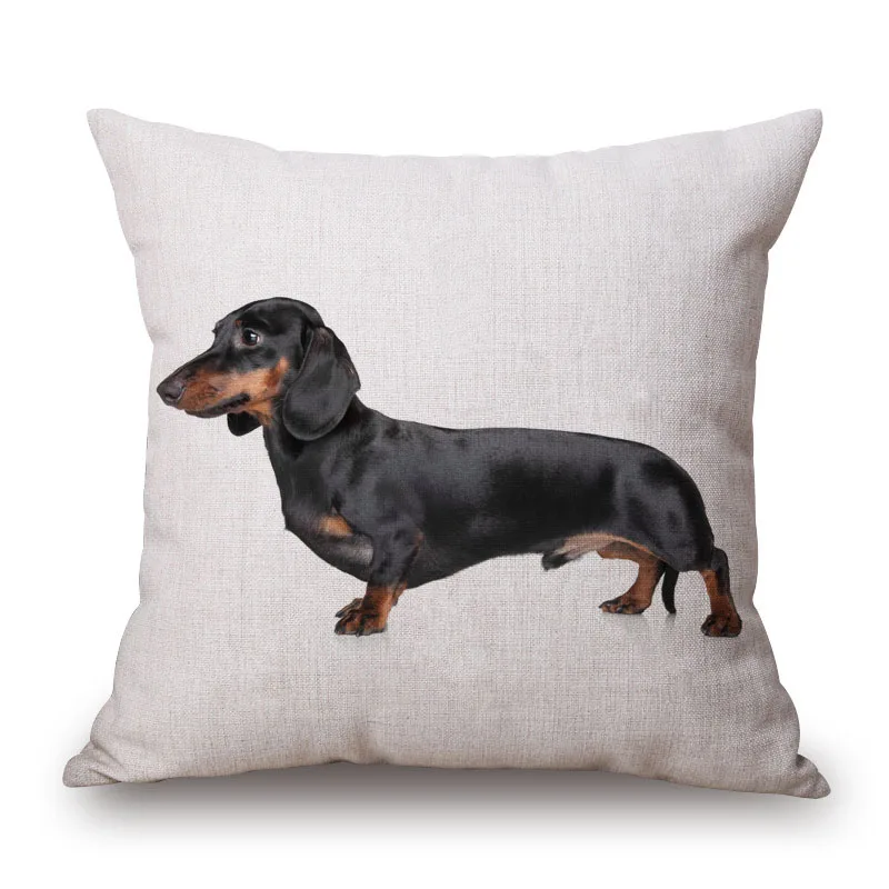 Support Stérilisateur Pour Brosses à Dents - Boîte à 10 Trous Avec Couvercle