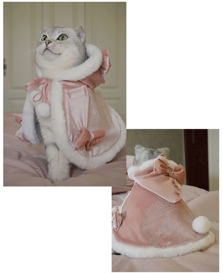 pet cosplay chapéu capa para pequenos gatos