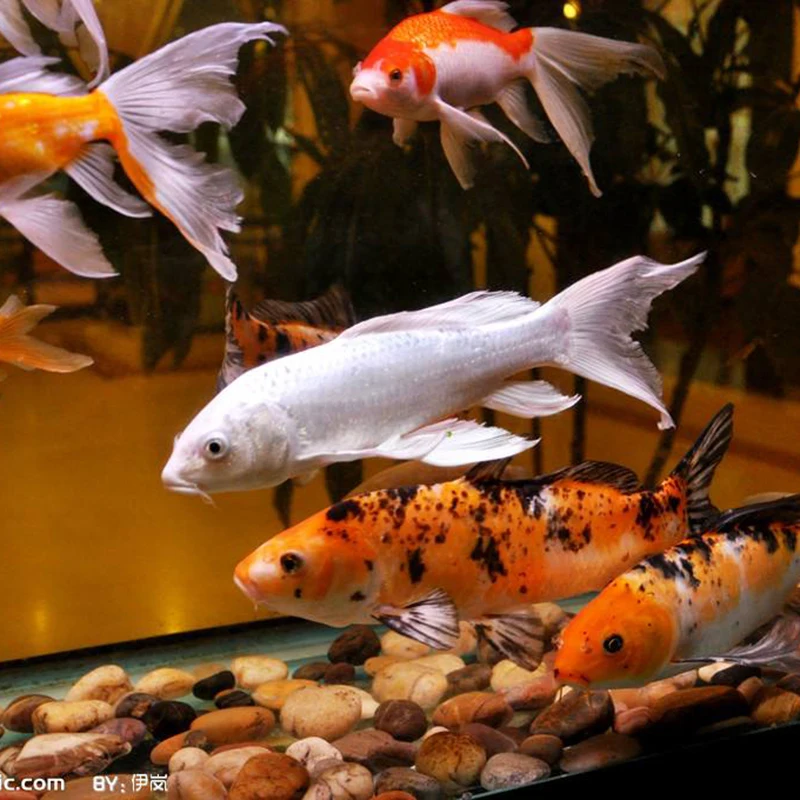 Светодиодный аквариумный светильник водонепроницаемый 30 40 см