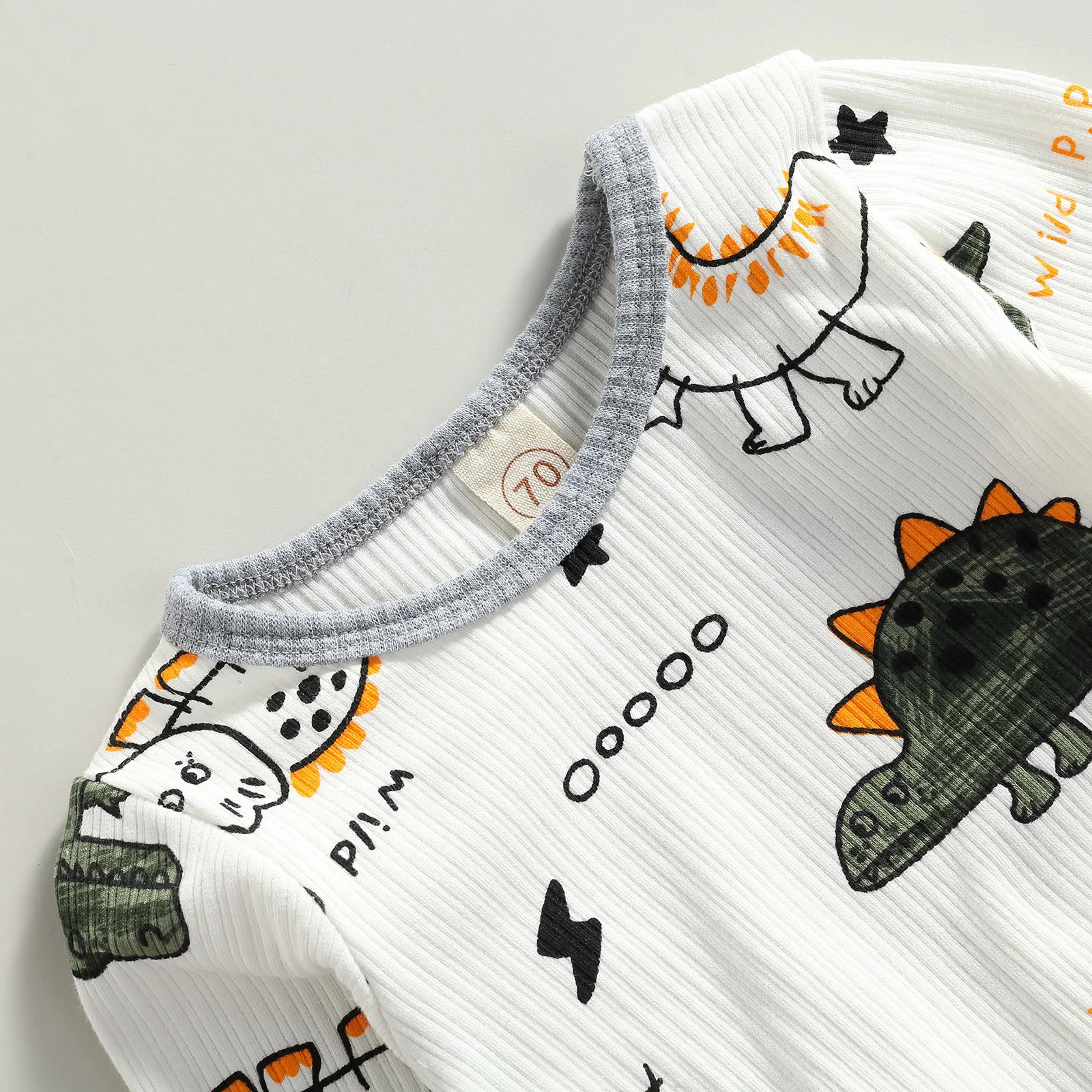 Baby Boy Dinosaur Print Outfit Set 5
