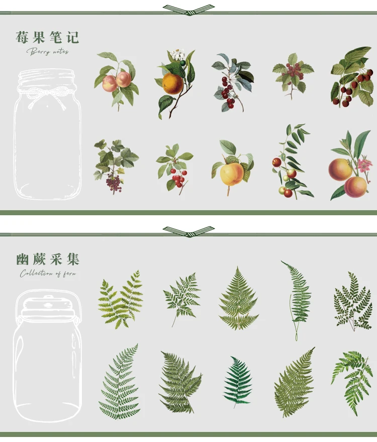 植物研究所贴纸包_06