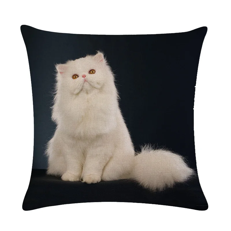 Black Cat Series Decorative Pillow Cover Single Side Printing Square