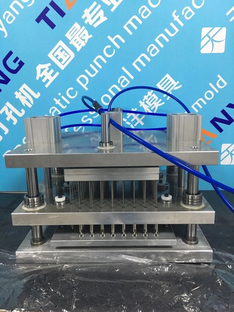 BTP_CYQ%D42BP8WGA0`6{2D