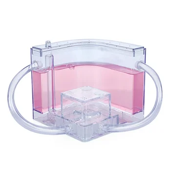 

Colorful Ants House Pet Toy Feeding Area 10.8CM Funny Art Ant Nest Ant Farm Insect Transparent Habitat Villa Decoration