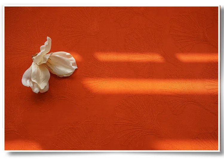 10822232528_555901486