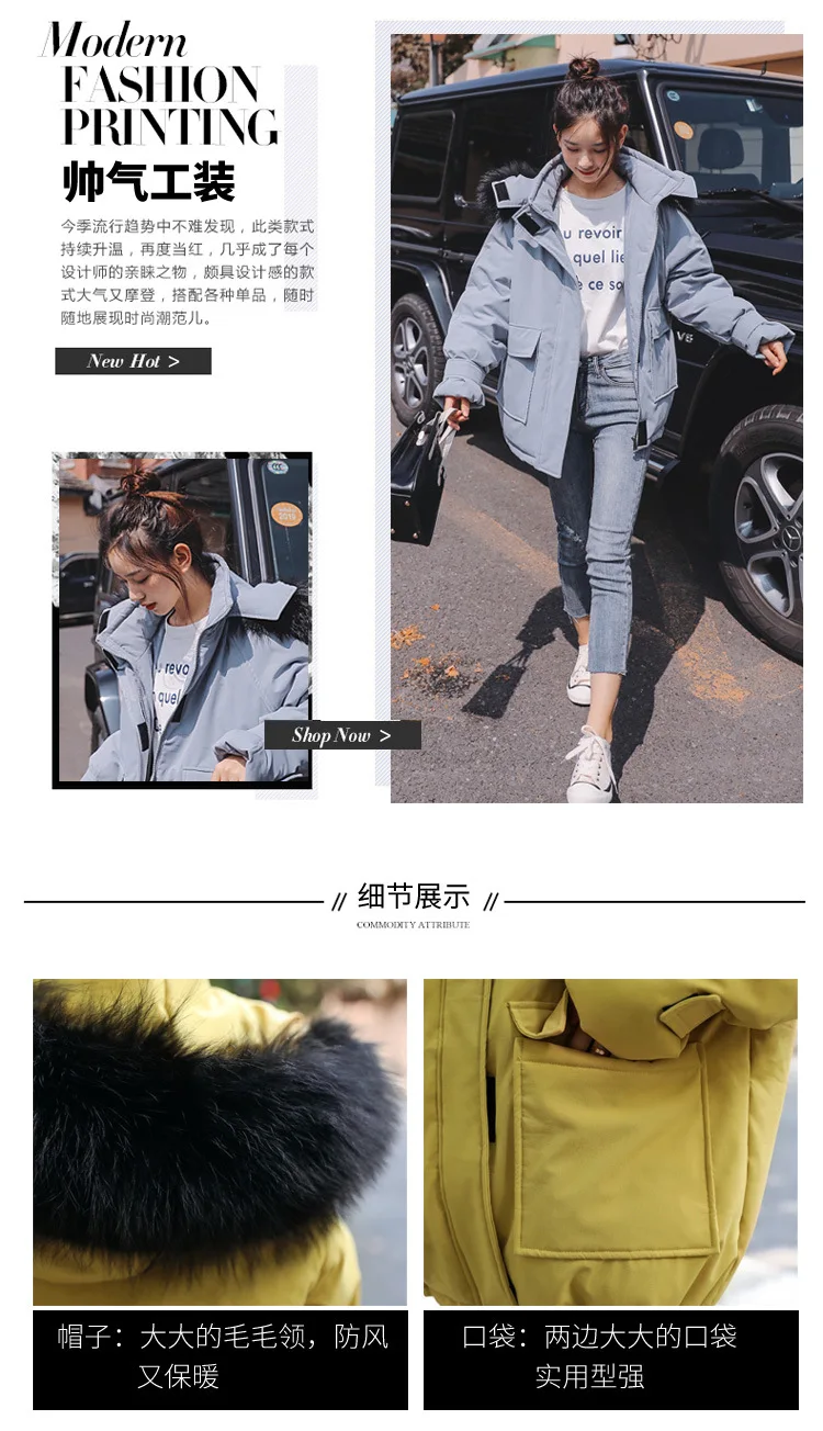 Photo Shoot New Style Autumn& Winter down Jacket Women's Short Loose-Fit Super Fire INS down Coat Cotton-padded Clothes Mi