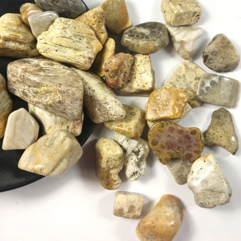 100g 15-40mm natural coral jade stone chrysanthemum stone gravel original stone landscaping decorative stone ornaments ore 100g 15-40mm natural coral jade stone chrysanthemum stone gravel original stone landscaping decorative stone ornaments ore