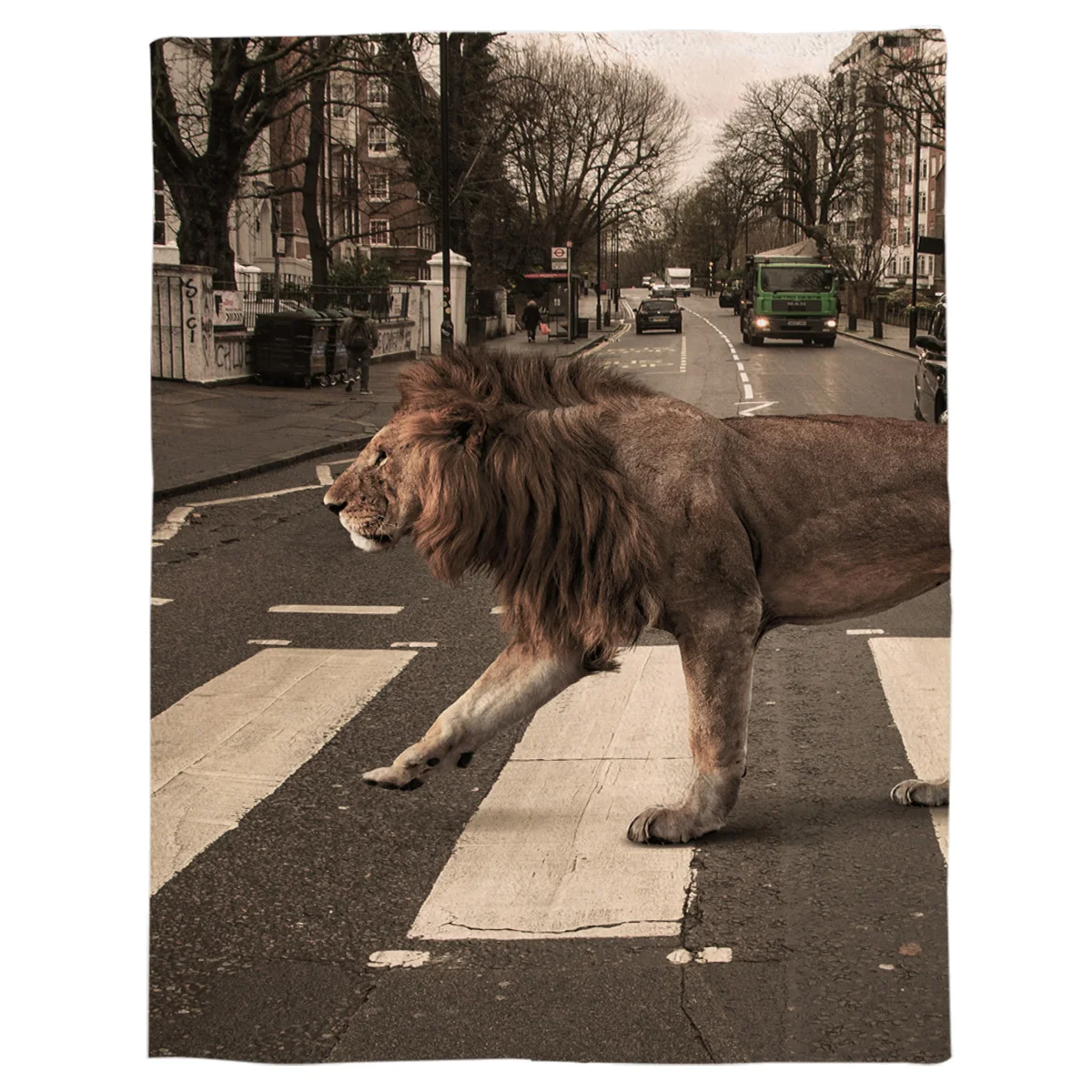 Животное город Лев пересечение Abby Road теплое одеяло офисный отдых диван-кровать покрывало простыня для студентов дома покрывало