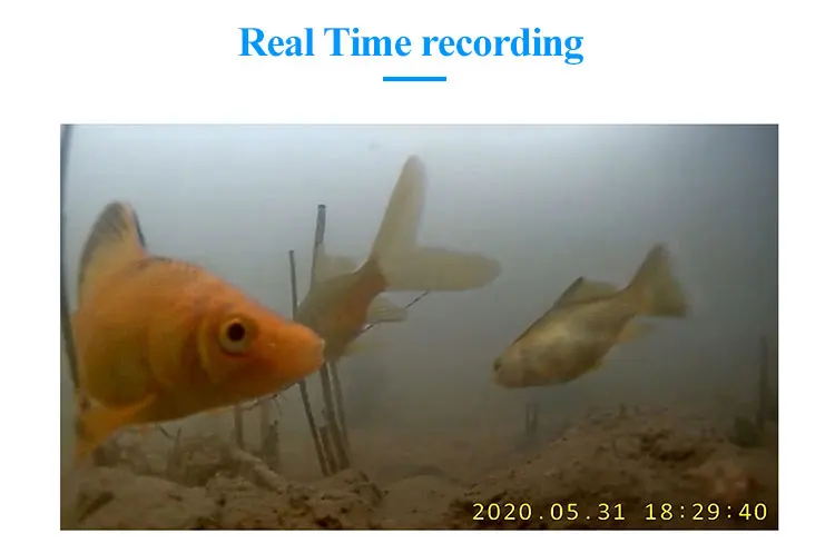 DVR+CAM-EN-750_07