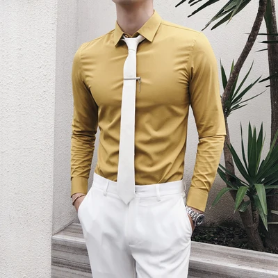 

2019 autumn new England net red solid color men's long-sleeved shirt business casual gentleman base white shirt