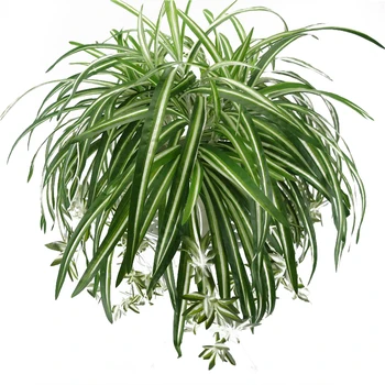 

Artificial Plants Eucalyptus Grass Plastic Ferns Green Leaves Fake Flower Plant Wedding Home Decoration Table Decors