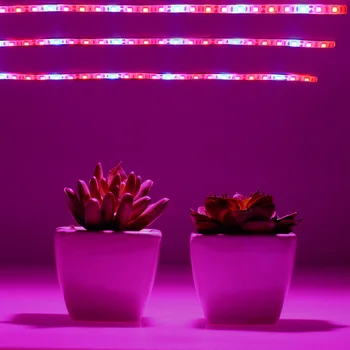 

LED Grow Light Strip Full Spectrum Auto On Off Grow Light Dimmable Level For Indoor Plants USB Time Plants Light