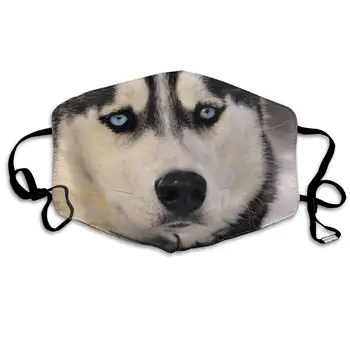 

NiYoung Women Men Teens Washable Reusable Face Masks with Elastic Ear Loop, Anti Dust Pollution Face Mask (Siberian Husky)