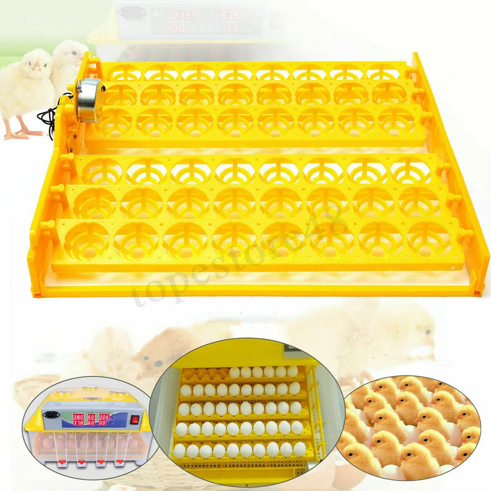 Automatic 56- Egg Turner Chicken Duck Quail Bird Poultry 110V Incubator Tray