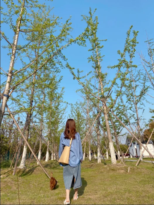 QQ截图20200517132853